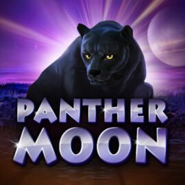 Ігровий автомат Panther moon