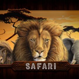 Safari